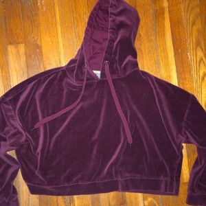 Purple Velvet Cropped Hoodie